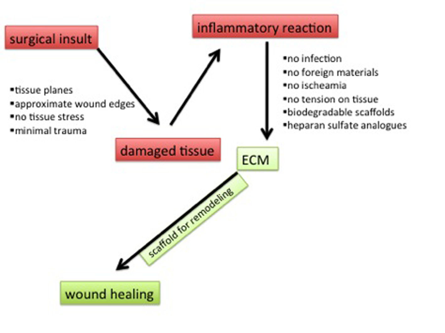 Native Tissue Repair And Principles Of Wound Healing Introducing The 